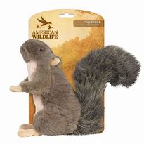 Image result for Squeaky Squirrel Dog Toy