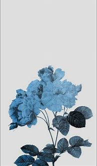 Image result for Dusty Blue Aesthetic