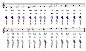 Image result for Lowest Note On Flute