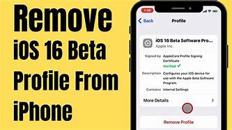 Image result for How to Remove Developer Beta From iPhone