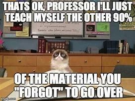 Image result for Cats Nursing School Memes