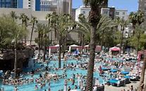 Image result for Man Las Vegas Swimming Pool