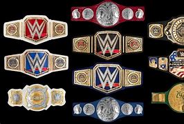 Image result for All WWE World Champion Belts