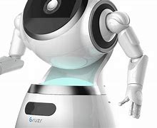 Image result for Real Service Robots
