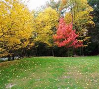 Image result for Pennsylvania Fall Scenery