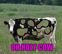 Image result for Moo Cow Meme