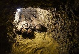 Image result for Mummified Animal Remains