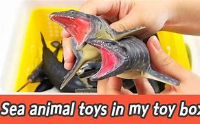Image result for Coco Toys Sea Animals