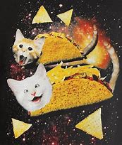 Image result for Blue Galaxy Cat