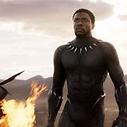 Image result for Avengers Endgame Black Panther