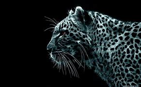 Image result for HD Wallpapers for PC 1920X1080 Free Download