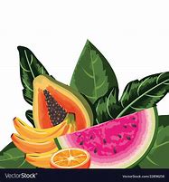 Image result for Tropical Fruit Cartoon