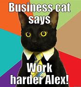 Image result for Business Cat Mem