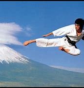 Image result for Shotokan Karate Kicks