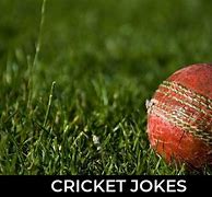 Image result for Funny Cricket Jokes