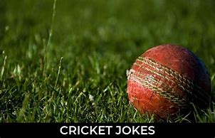 Image result for Cricket Bat Puns