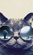 Image result for Cat Galaxy Glasses