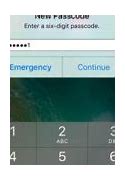 Image result for How to Update Email Password On iPhone