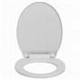 Image result for Gray Oval Toilet Seat