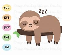 Image result for Albino Baby Sloth