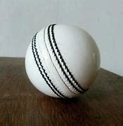 Image result for White Cricket Hanging Ball