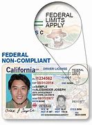 Image result for Federal ID Card