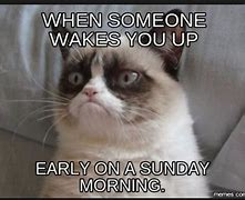 Image result for Humorous Good Morning Sunday Memes