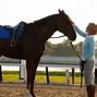 Image result for Arabian Horse Racing Movies