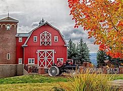 Image result for Washington State Apple Farm