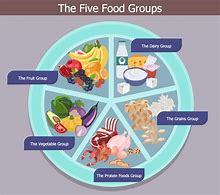Image result for Basic Healthy Meal Plan