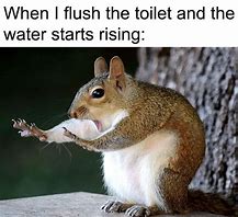 Image result for Flushing Toilet Meme