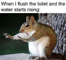 Image result for When You Flush the Toilet and the Water Starts Rising Meme
