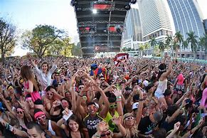 Image result for Ultra Music Festival Miami FL