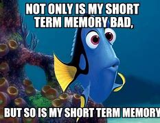Image result for Short-Term Memory Meme