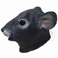 Image result for Rubber Rat Mask
