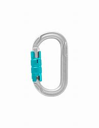 Image result for Climbing Carabiner