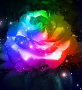 Image result for Galaxy Glow Rose