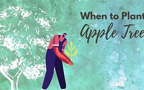 Image result for Apple Tree Curled Leaves