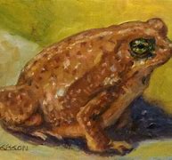 Image result for Painted Toad