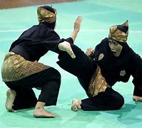 Image result for Pencak Silat Martial Arts