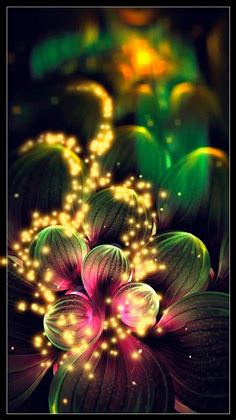 Beautiful Flower Wallpaper with Lights