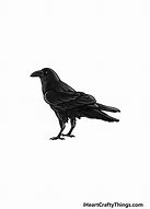 Image result for Cool Aesthetic Crow Drawing