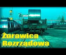 Image result for co_to_za_Żurawica_rozrządowa
