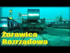 Image result for co_to_znaczy_Żurawica_rozrządowa