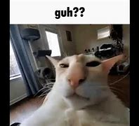 Image result for Guh Cat Meme