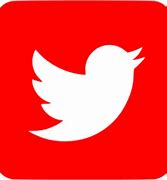 Image result for Red Twitter Logo Transparent