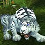 Image result for WoW Best Hunter Pets