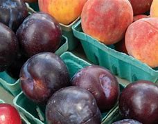 Image result for Local Food Movement