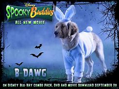 Image result for B-Dawg