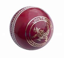 Image result for Cricket Symbol